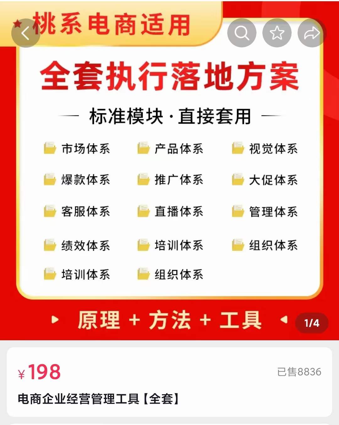 外面卖198·电商企业经营管理工具：全套执行落地方案 标准模块·直接套用