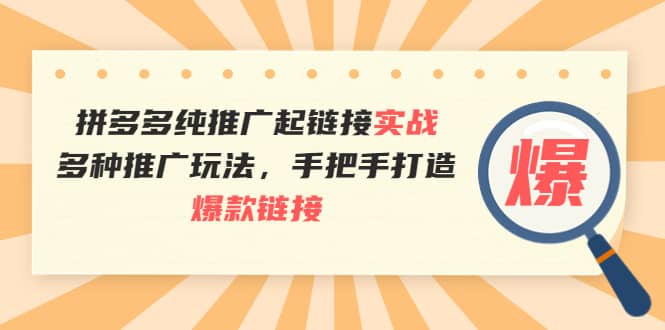 拼多多纯推广起链接实战：多种推广玩法，手把手打造爆款链接