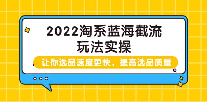 淘系蓝海截流玩法实操：让你选品速度更快，提高选品质量（价值599）