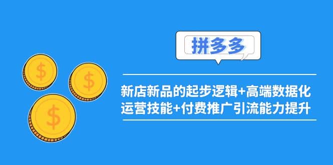 拼多多：新店新品的起步逻辑 高端数据化运营技能 付费推广引流能力提升