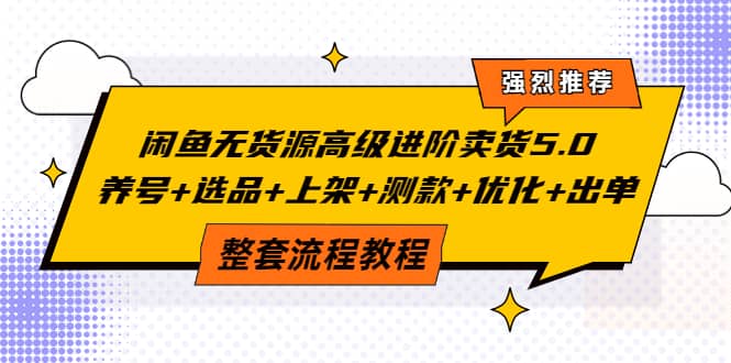 闲鱼无货源高级进阶卖货5.0，养号 选品 上架 测款 优化 出单整套流程教程