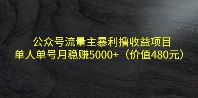 公众号流量主撸收益项目，单人单号月稳赚5000 （价值480元）