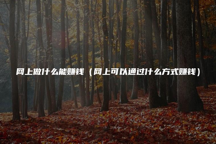 网上做什么能赚钱（网上可以通过什么方式赚钱）