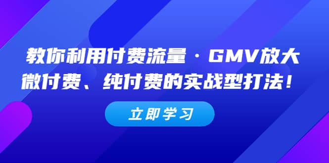 教你利用付费流量GMV放大，微付费、纯付费的实战型打法