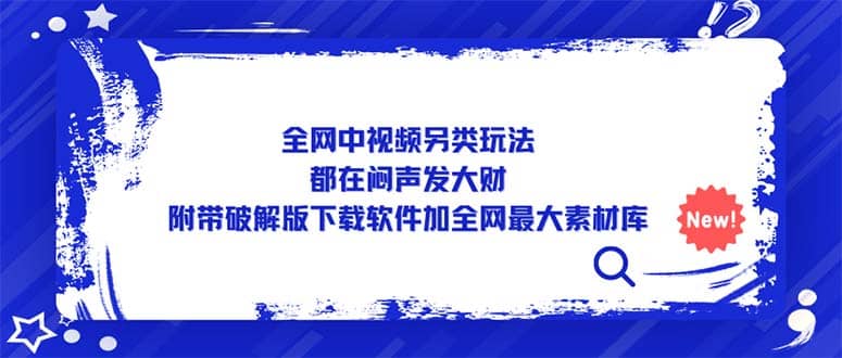 中视频另类玩法，都在闷声发大财，附带下载软件加全网最大素材库