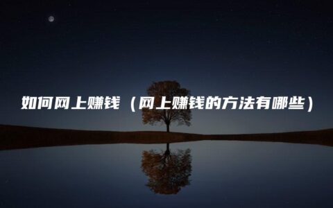 如何网上赚钱（网上赚钱的方法有哪些）