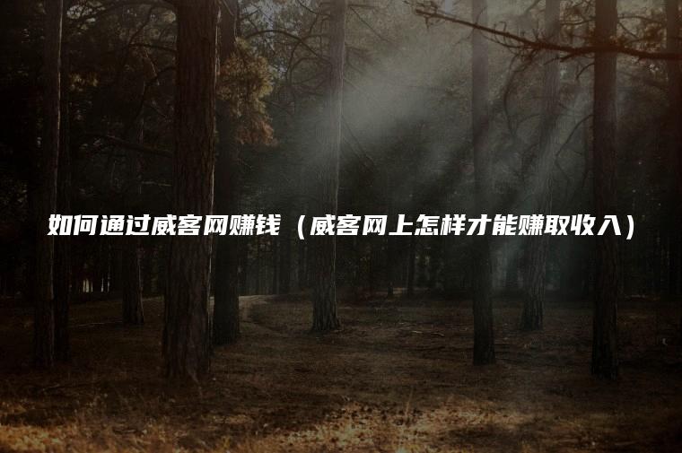 如何通过威客网赚钱（威客网上怎样才能赚取收入）