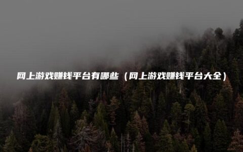 网上游戏赚钱平台有哪些（网上游戏赚钱平台大全）