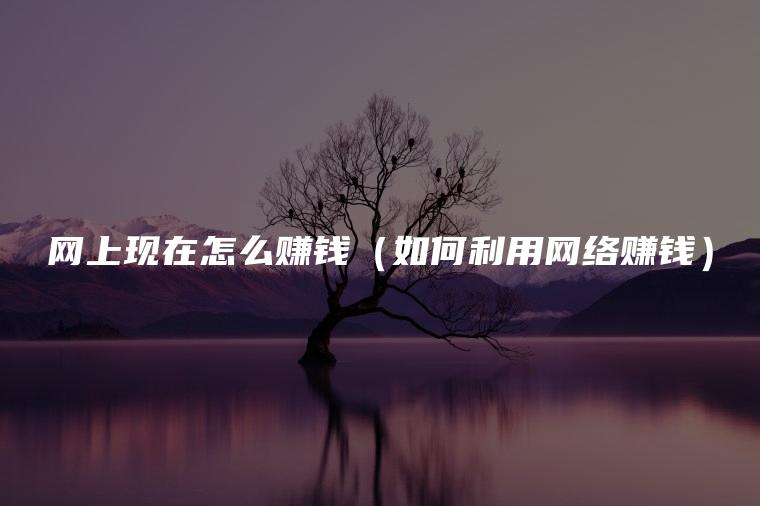 网上现在怎么赚钱（如何利用网络赚钱）