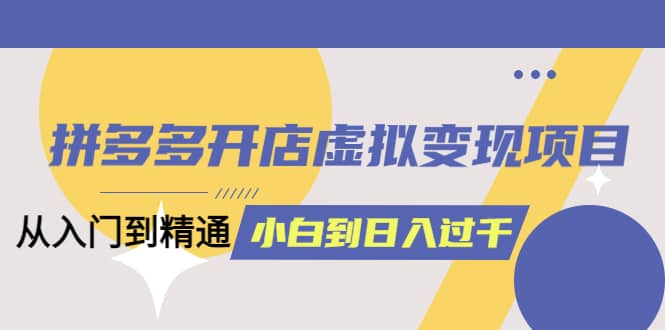 拼多多开店虚拟变现项目：入门到精通 从小白到日入1000（完整版）