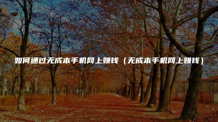 如何通过无成本手机网上赚钱（无成本手机网上赚钱）