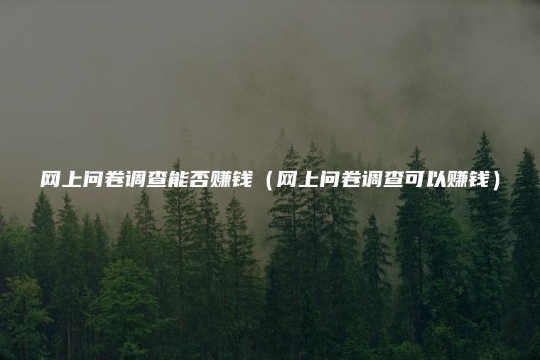 网上问卷调查能否赚钱（网上问卷调查可以赚钱）