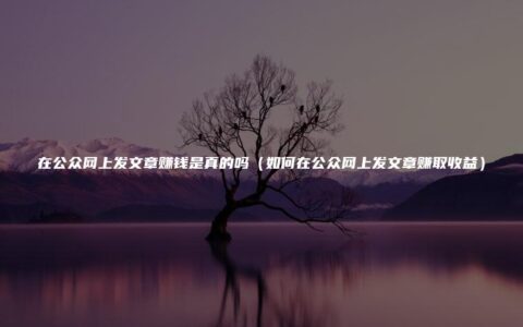 在公众网上发文章赚钱是真的吗（如何在公众网上发文章赚取收益）