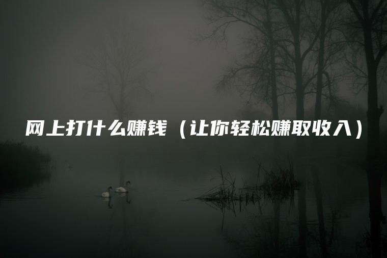 网上打什么赚钱（让你轻松赚取收入）