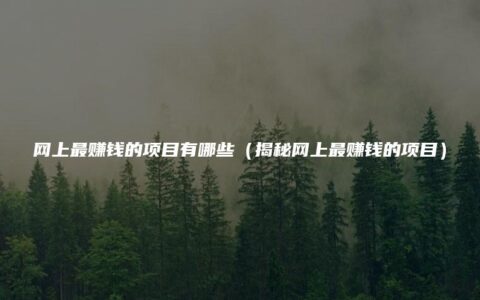 网上最赚钱的项目有哪些（揭秘网上最赚钱的项目）