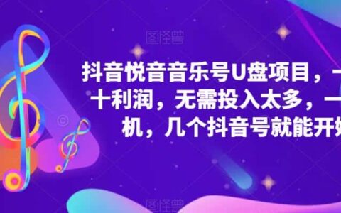 抖音音乐号U盘项目 一单几十利润 无需投入太多 一台手机 几个抖音号就开始