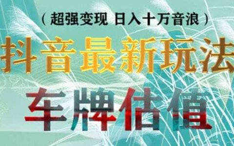 抖音无人直播变现直播车牌估值玩法项目 轻松日赚几百