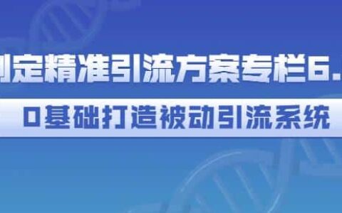 制定精准引流方案专栏6.0，0基础打造被动引流系统