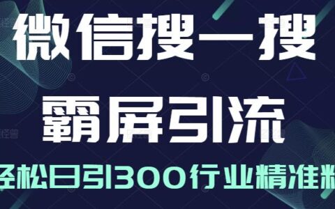 微信搜一搜霸屏引流课，打造被动精准引流系统，轻松日引300行业精准粉【无水印】