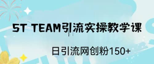 STEAM引流实操课，日引流网创粉100