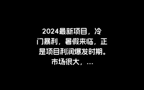 2024最新项目，冷门暴利，暑假来临，正是项目利润爆发时期。市场很大，...