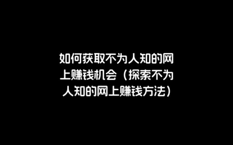 如何获取不为人知的网上赚钱机会（探索不为人知的网上赚钱方法）