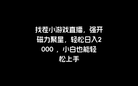 找茬小游戏直播，强开磁力聚星，轻松日入2000 ，小白也能轻松上手