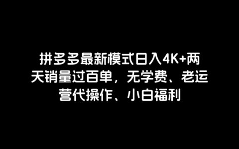 拼多多最新模式日入4K+两天销量过百单，无学费、老运营代操作、小白福利