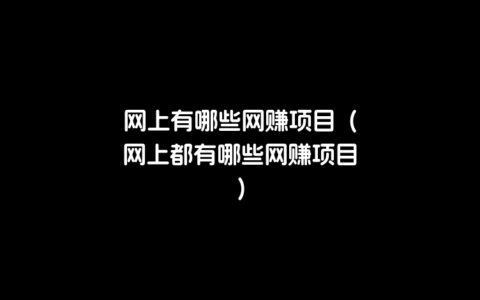 网上有哪些网赚项目（网上都有哪些网赚项目）