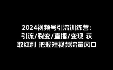 2024视频号引流训练营：引流/裂变/直播/变现 获取红利 把握短视频流量风口