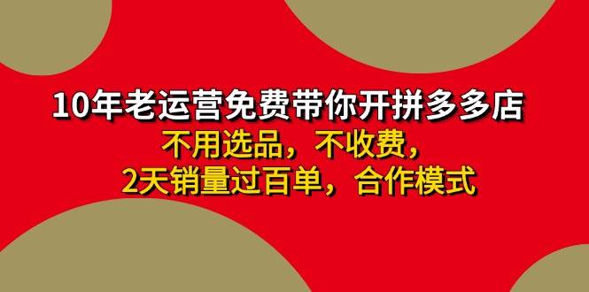 （11576期）拼多多-合作开店日入4000+两天销量过百单，无学费、老运营教操作