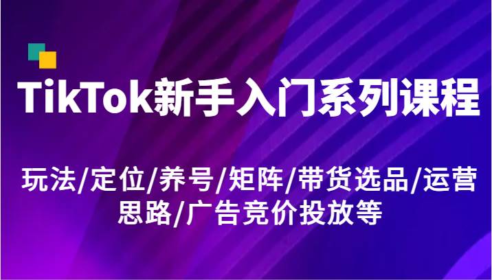 TikTok新手入门系列课程，玩法/定位/养号/矩阵/带货选品/运营思路/广告竞价投放等