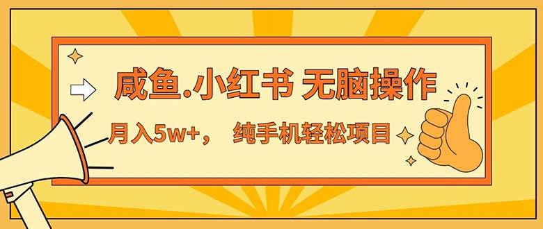 （11524期）2024最赚钱的项目，咸鱼，小红书无脑操作，每单利润500+，轻松月入5万+