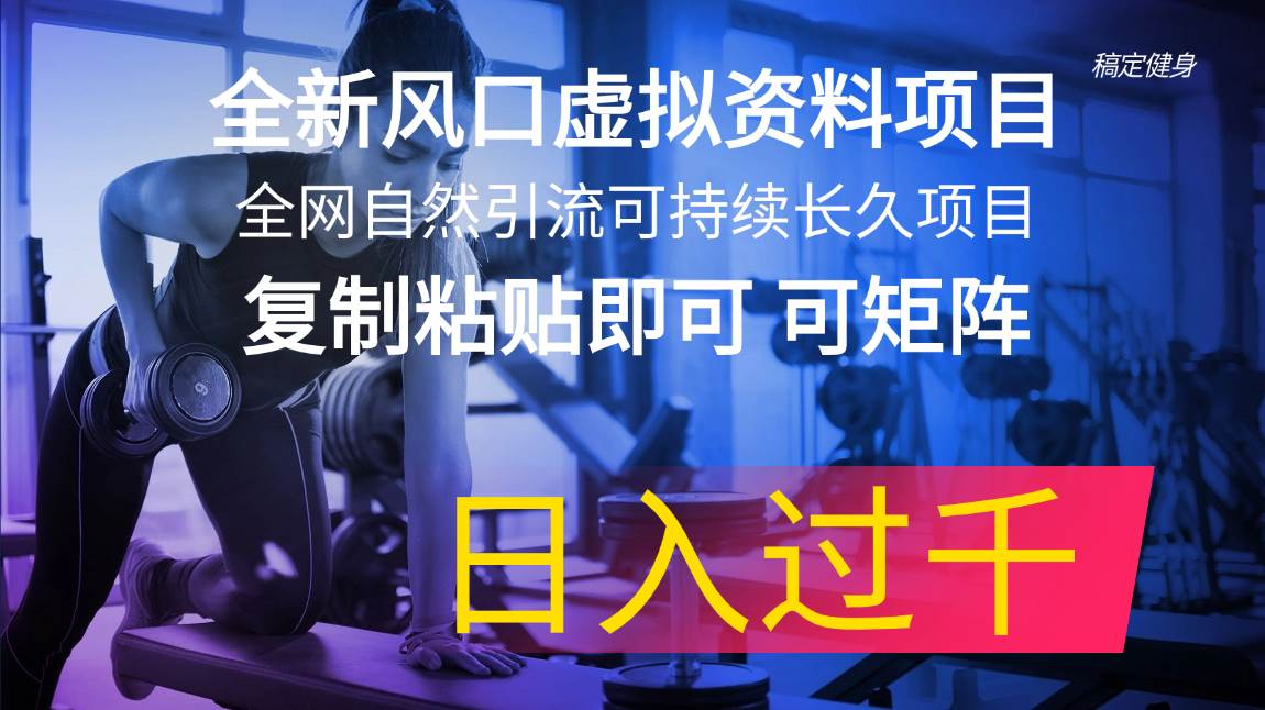 （11587期）全新风口虚拟资料项目 全网自然引流可持续长久项目 复制粘贴即可可矩阵