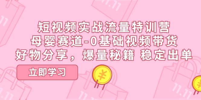 （11373期）短视频实战流量特训营，母婴赛道-0基础带货，好物分享，爆量秘籍 稳定出单