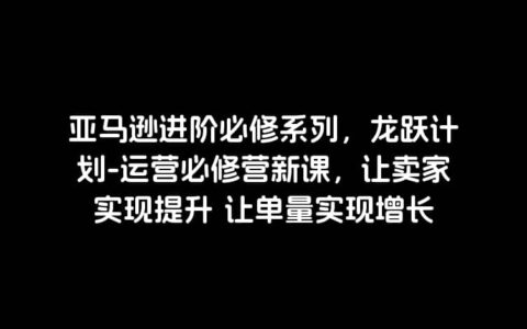 亚马逊进阶必修系列，龙跃计划-运营必修营新课，让卖家实现提升 让单量实现增长