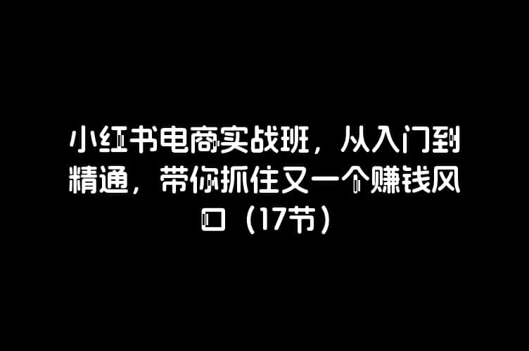 小红书电商实战班，从入门到精通，带你抓住又一个赚钱风口（17节）