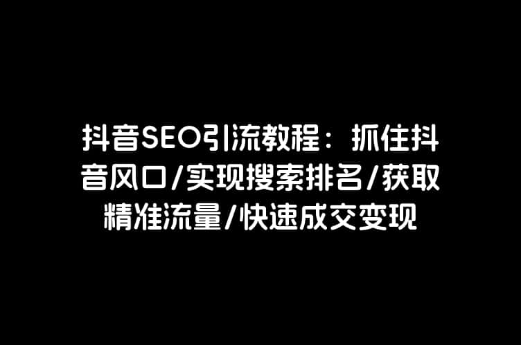 抖音SEO引流教程：抓住抖音风口/实现搜索排名/获取精准流量/快速成交变现