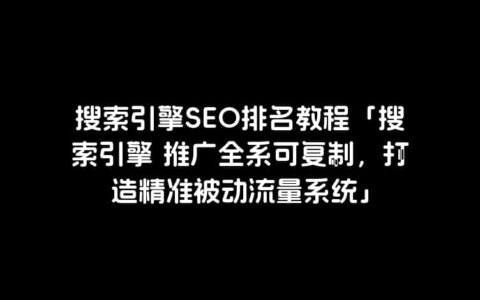 搜索引擎SEO排名教程「搜索引擎 推广全系可复制，打造精准被动流量系统」