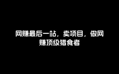 网赚最后一站，卖项目，做网赚顶级猎食者