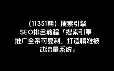 （11351期）搜索引擎 SEO排名教程「搜索引擎 推广全系可复制，打造精准被动流量系统」