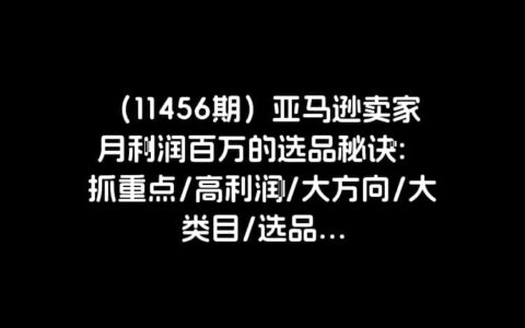 （11456期）亚马逊卖家月利润百万的选品秘诀:抓重点/高利润/大方向/大类目/选品...