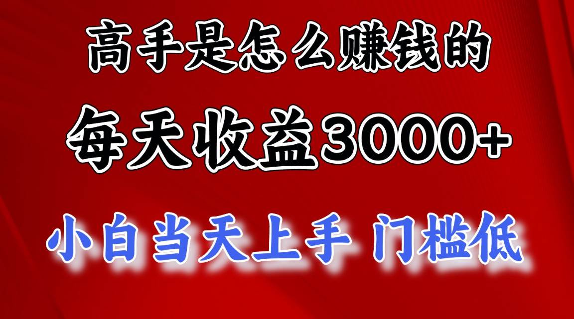 （12144期）1天收益3000+，月收益10万以上，24年8月份爆火项目