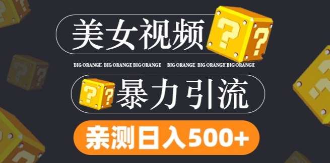 搬运tk美女视频全网分发，日引s粉300+，轻松变现，不限流量不封号【揭秘】