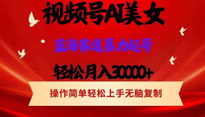 （12178期）视频号AI美女跳舞，轻松月入30000+，蓝海赛道，流量池巨大，起号猛，当...