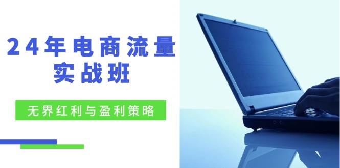 （12168期）24年电商流量实战班：无界 红利与盈利策略，终极提升/关键词优化/精准...