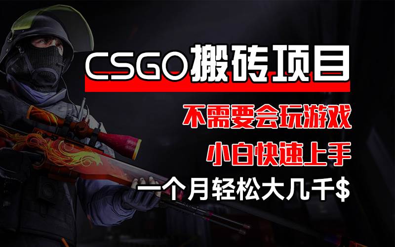 （12332期）CSGO 装备搬砖项目，操作简单，不需要会玩游戏，小白也能快速上手，一...