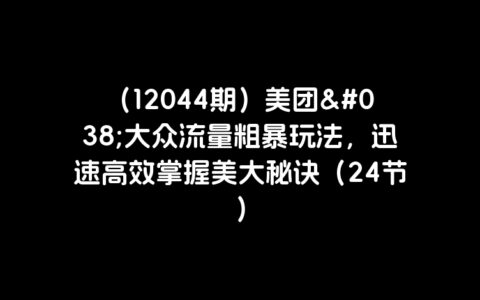 （12044期）美团&大众流量粗暴玩法，迅速高效掌握美大秘诀（24节）