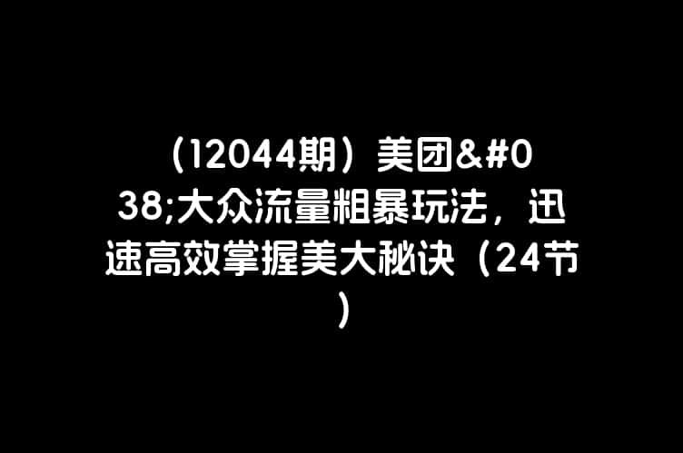 （12044期）美团&大众流量粗暴玩法，迅速高效掌握美大秘诀（24节）