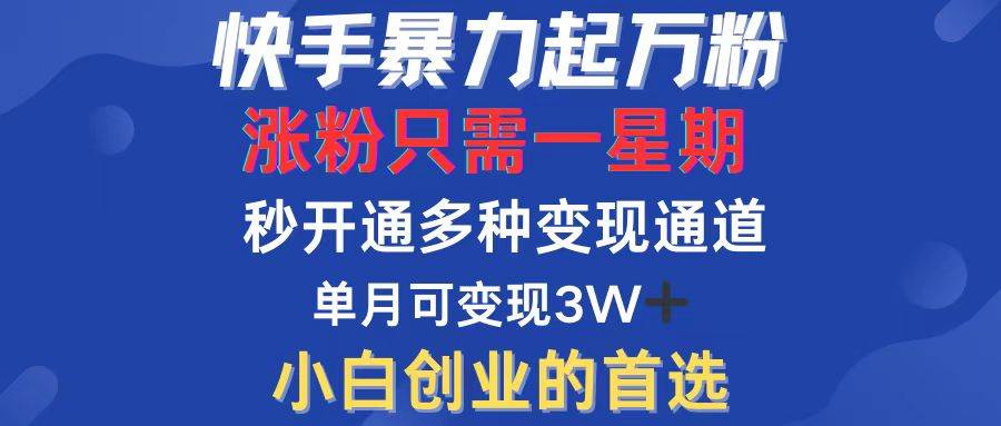 （12651期）快手暴力起万粉，涨粉只需一星期，多种变现模式，直接秒开万合，小白创...